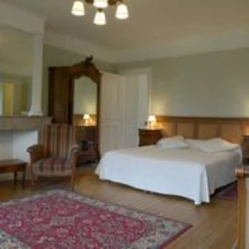 Deluxe Suite with park view