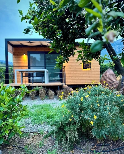 Standard Double room with garden view