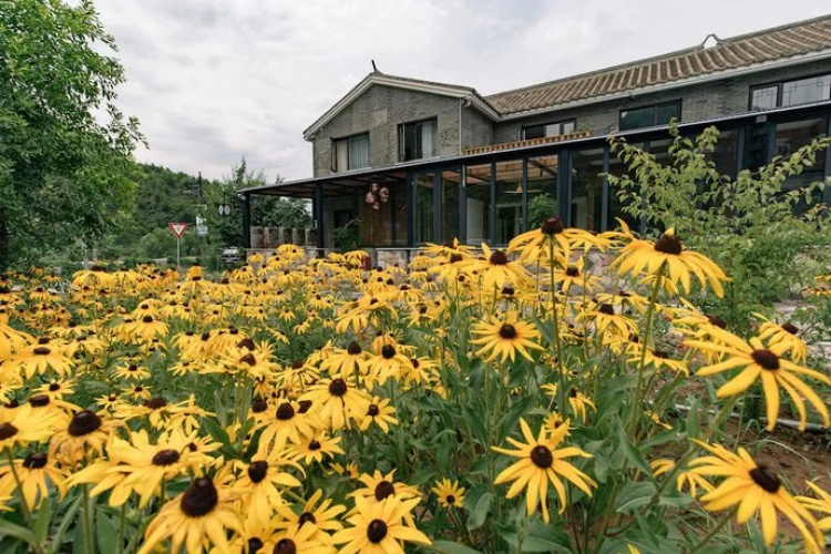 VINAWHISPER Boutique Hotel