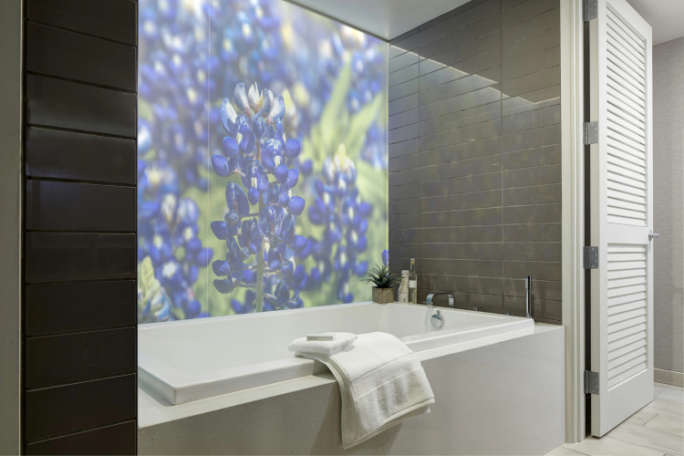 Archer Hotel Austin photo 9