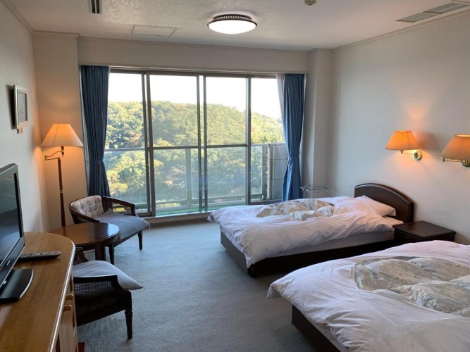 Standard Twin room with garden view