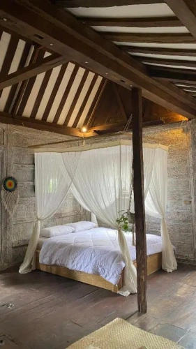 Standard Double room with garden view