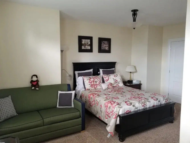 Standard Double room with river view
