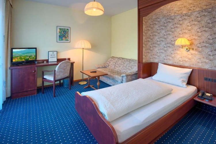 Standard Single room