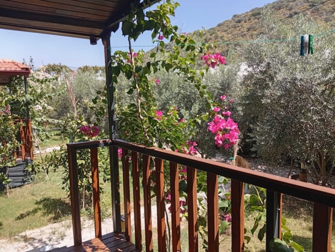 Comfort Bungalow with garden view