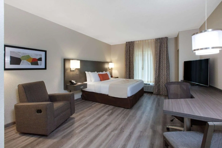 1 Bedroom Double Suite