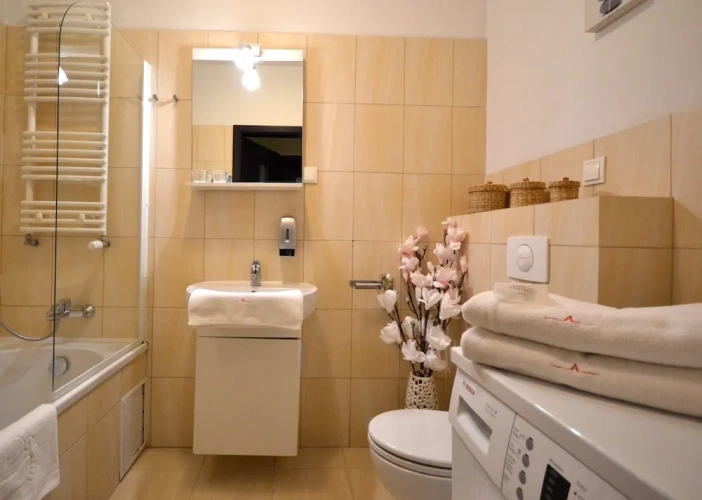 1 Bedroom Standard Apartment with balcony