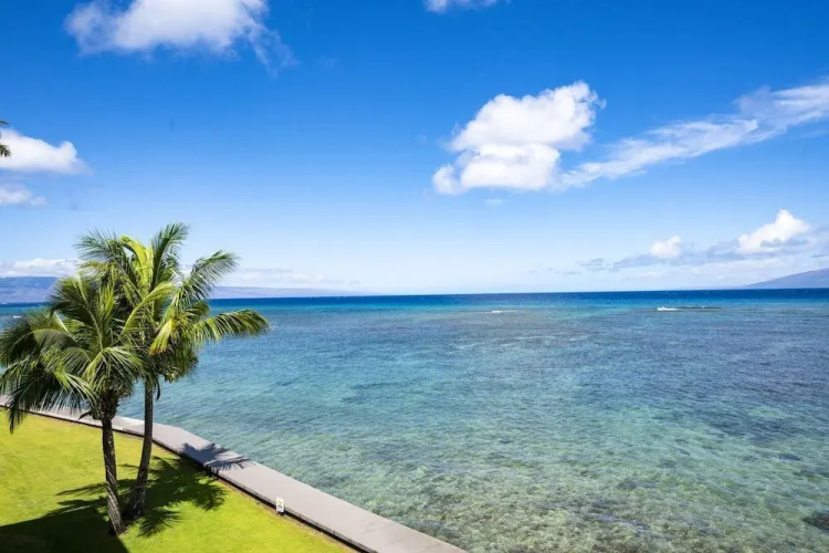 Kahana Reef 320