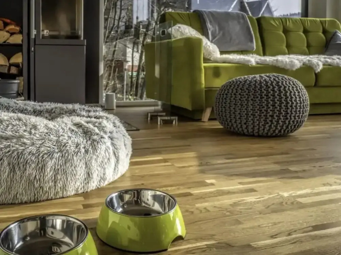 Williaduct Modern Retreat