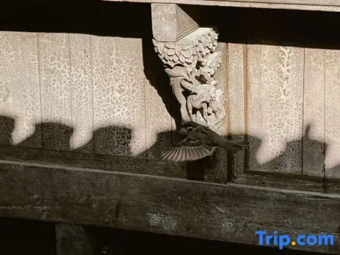 Tingxueyuan