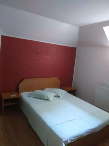 Vila Ana Lacramioara Concept