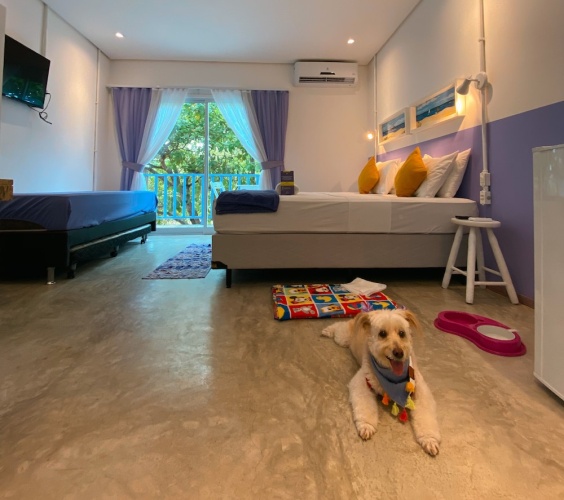 Standard Family room