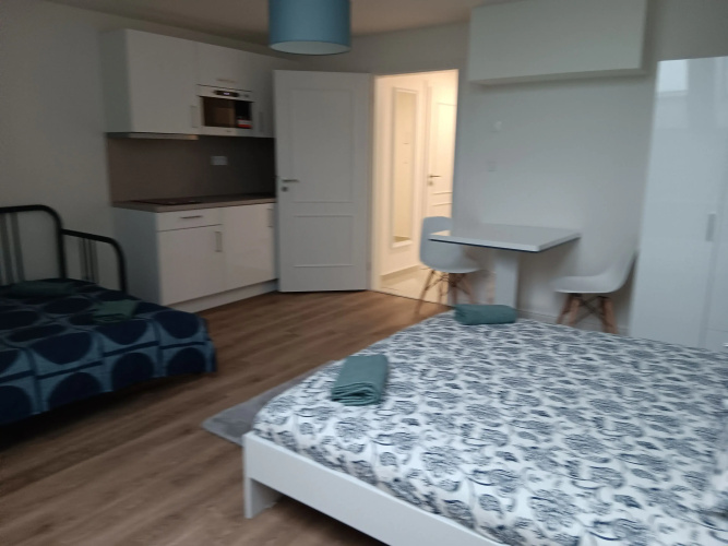 1 Br Apartment at Prague 1