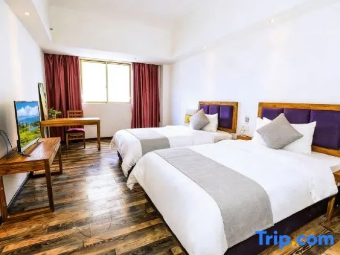Premier Twin room