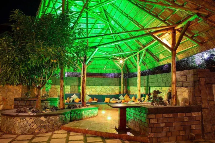 Masheda Palms