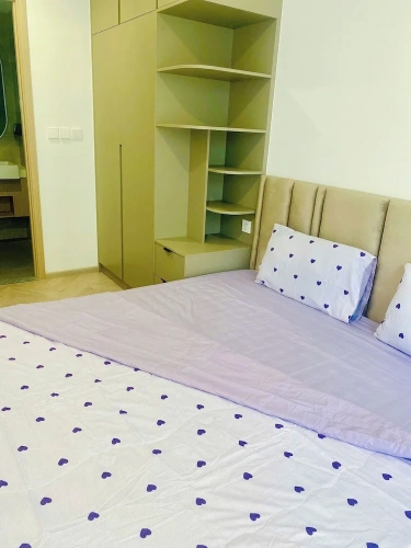 Luxury Apartment
