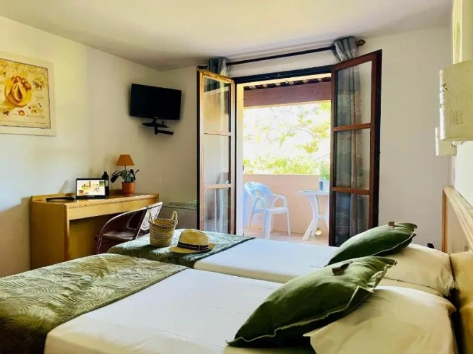 Standard Twin room with balcony and with garden view