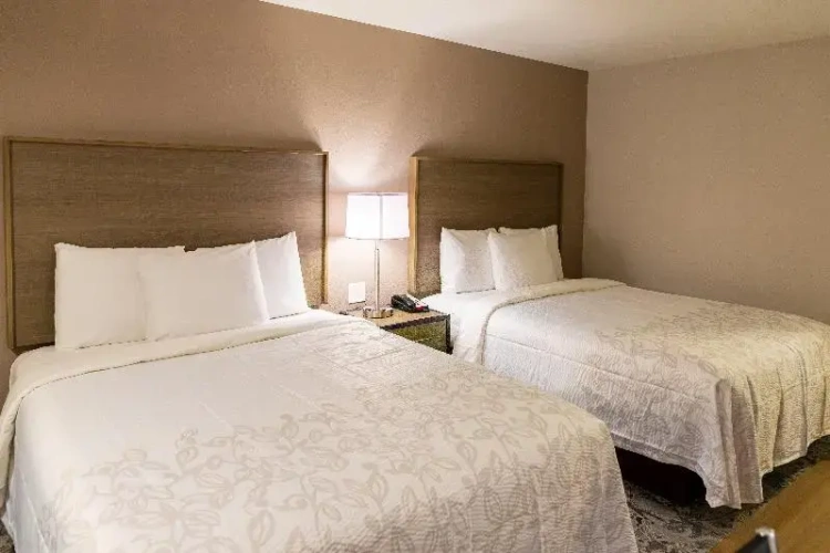 Premium Twin room