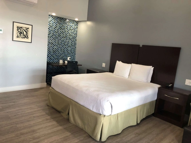Standard Double room with balcony and with ocean view