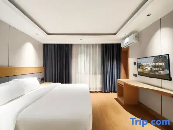 1 Bedroom Suite