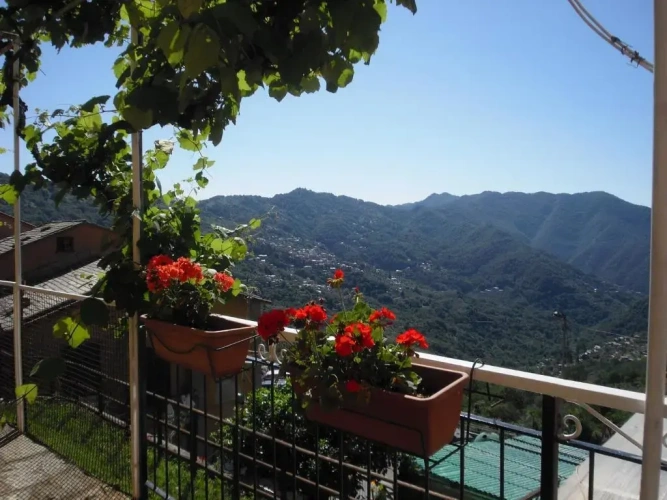 Standard Double room with view