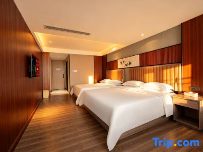 Executive Twin room