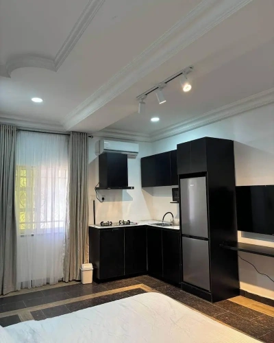 Economy Apartment