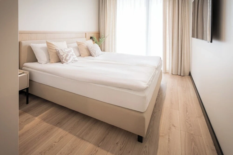 1 Bedroom Deluxe Apartment with lake view