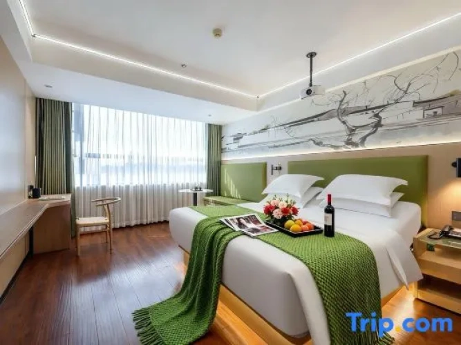 Standard Double room with city view