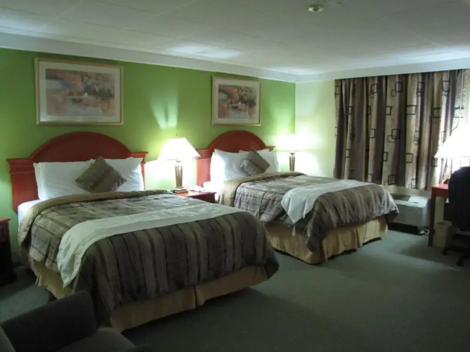 Superior Quadruple room