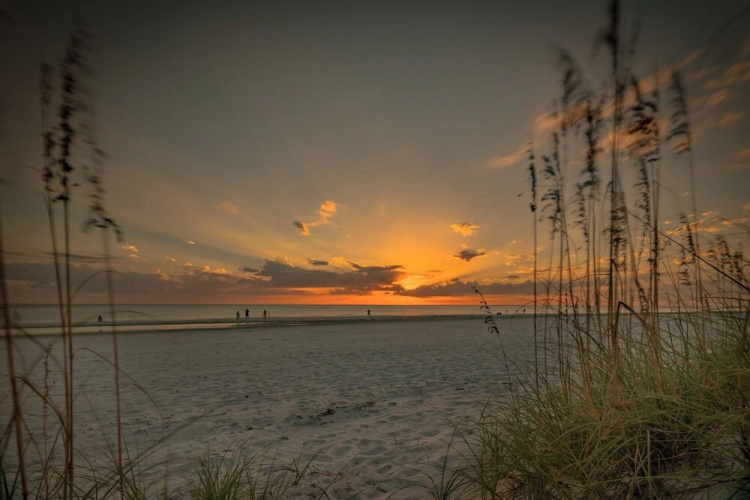 Seashell 19 by Distinctive Beach Rentals