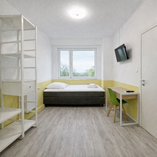 Economy Single room with garden view