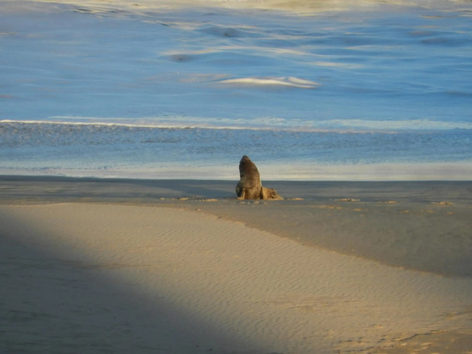 The Sparrow's Nest Beach-Front Self-catering