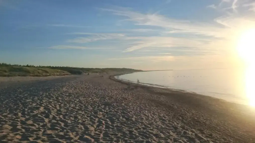 Ustka Forest