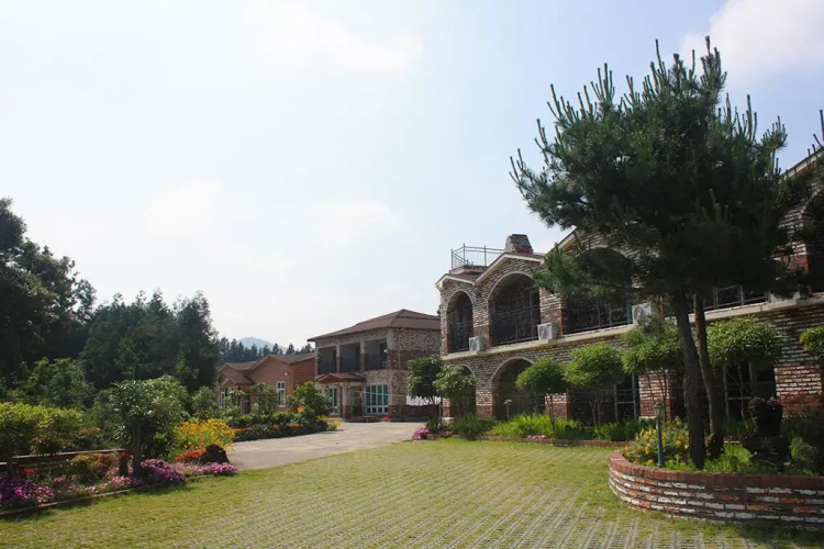 Jeju TS Hostel