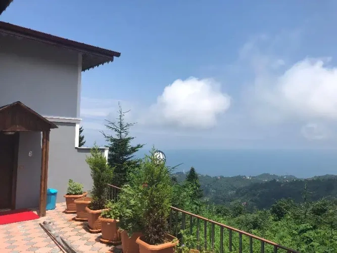 Standard Villa