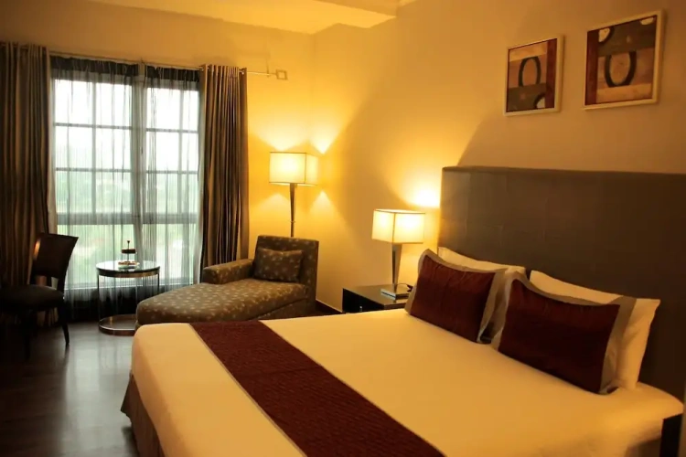 Executive Double room with garden view