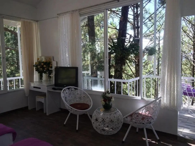 Pine Hill Homestay Dalat