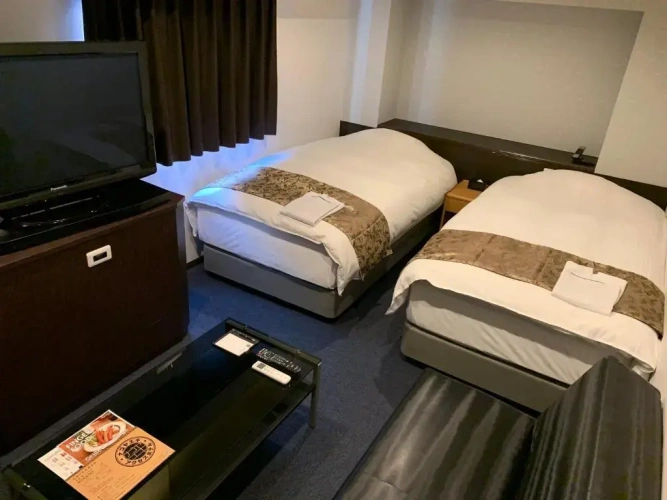 Deluxe Twin room
