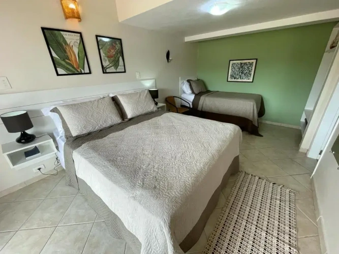 Luxury Apartment