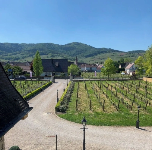 Executive Double room with mountain view