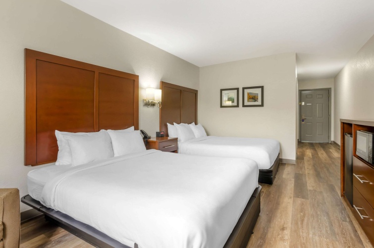 Standard Quadruple room