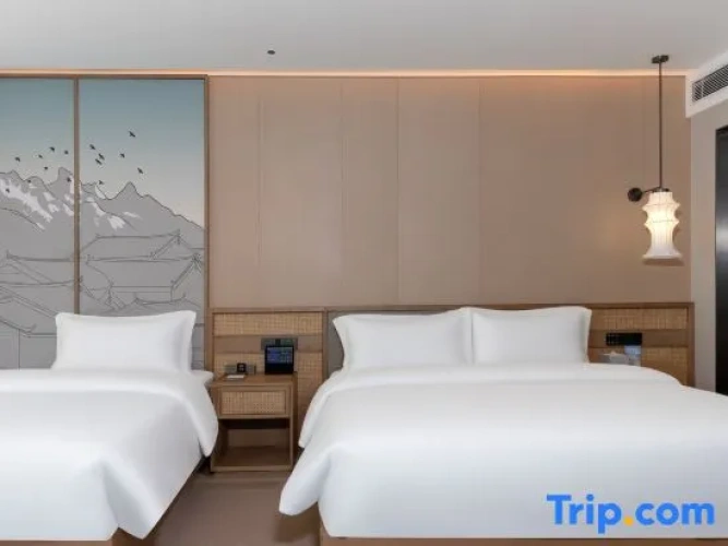Standard Double Family room