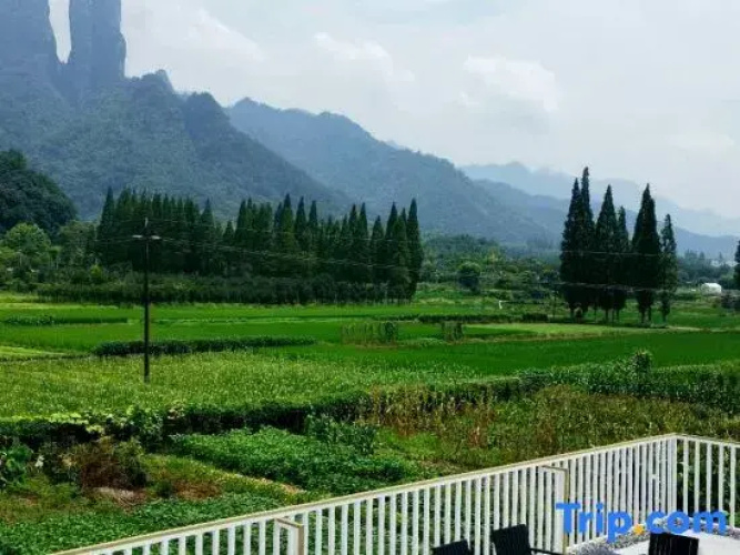 Mountain Field  Flower Hous