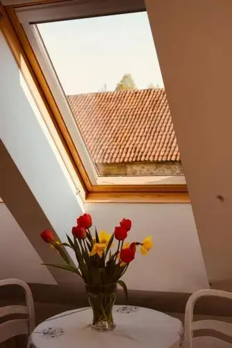 Złota Wójtówka