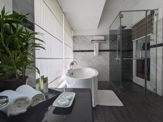 Luxury Penthouse room