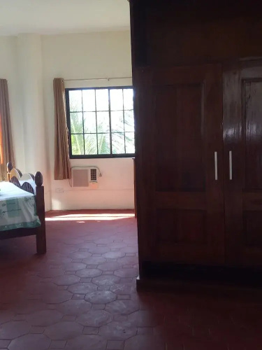 Kiwi's Hidden Resort