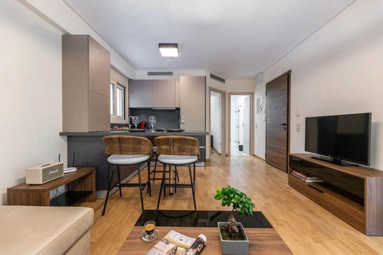 1 Bedroom Apartment