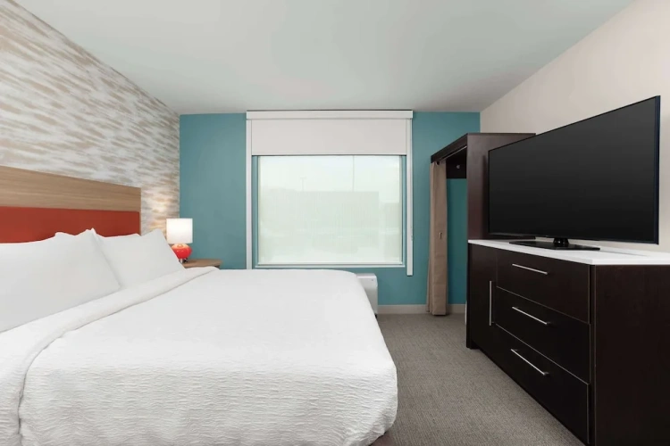 1 Bedroom Suite
