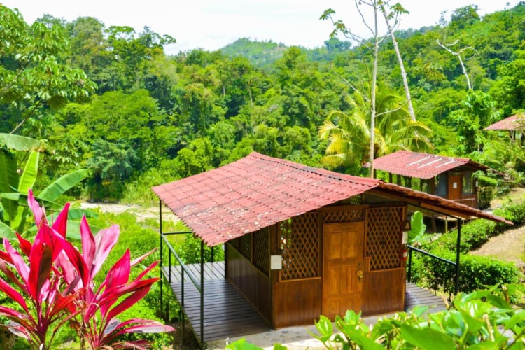 Bungalow